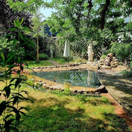 Eine Oase Bei Tara In Waldacker Appartement Rödermark Buitenkant foto