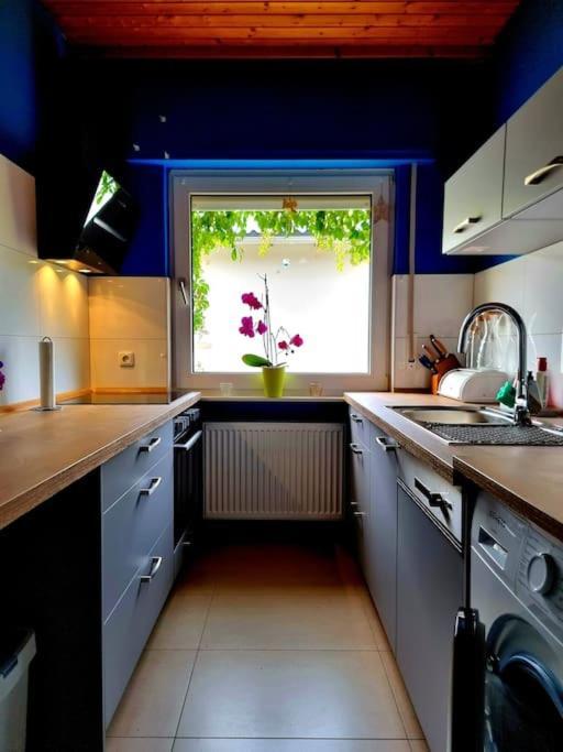 Eine Oase Bei Tara In Waldacker Appartement Rödermark Buitenkant foto