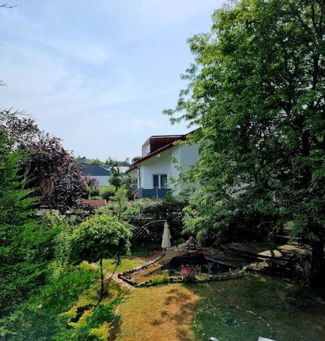 Eine Oase Bei Tara In Waldacker Appartement Rödermark Buitenkant foto