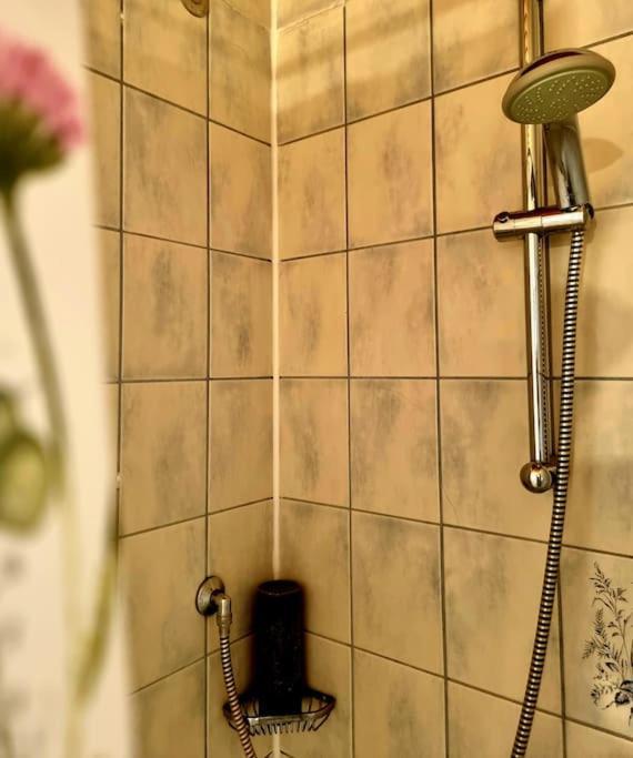 Eine Oase Bei Tara In Waldacker Appartement Rödermark Buitenkant foto